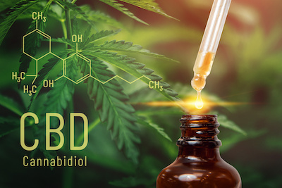 Cannabis CBD oil extracts in jars herb and leaves. Concept medical marijuana.