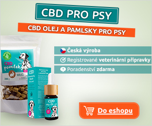 CBD pro psy (300x250 px)