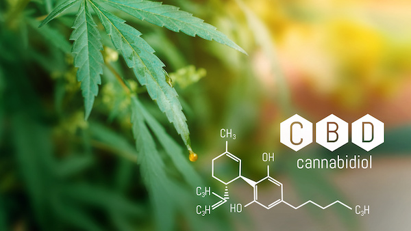 cbd-ucinky-a-pouziti.jpeg