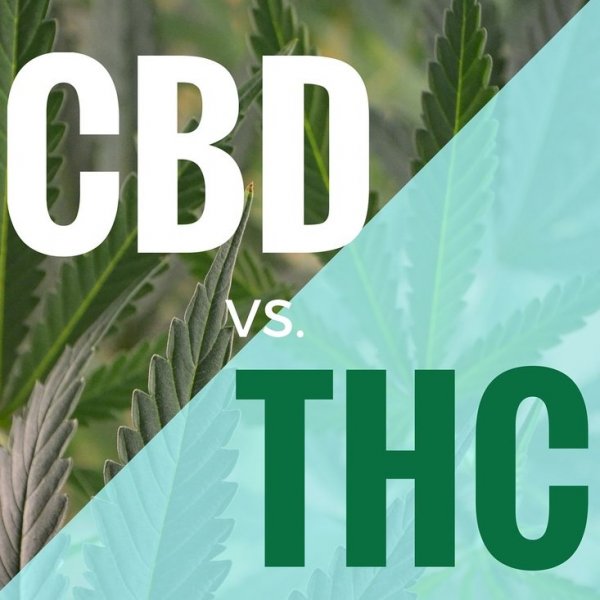 cbd.vs.thc.jpeg