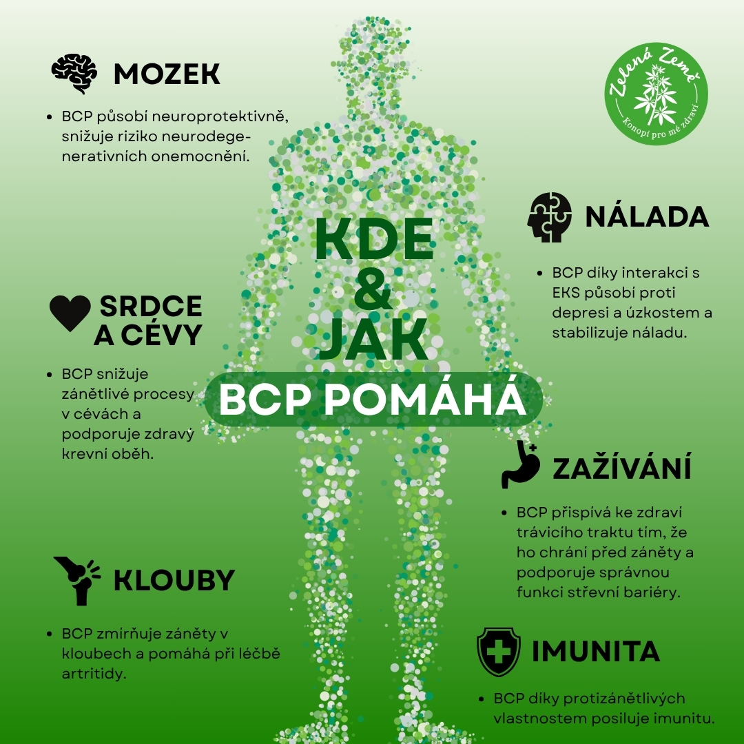 kdeajakBCP