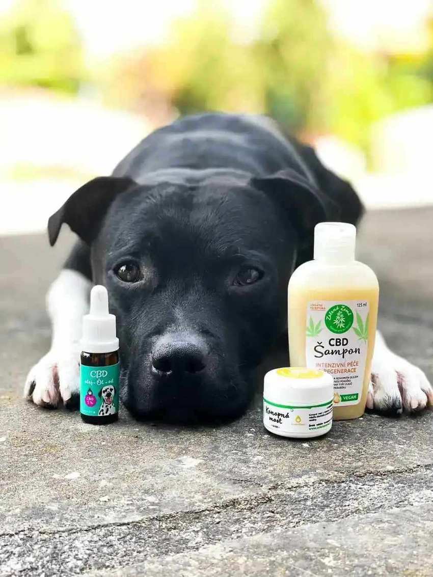 Veterinárny segment – produkty pre psov